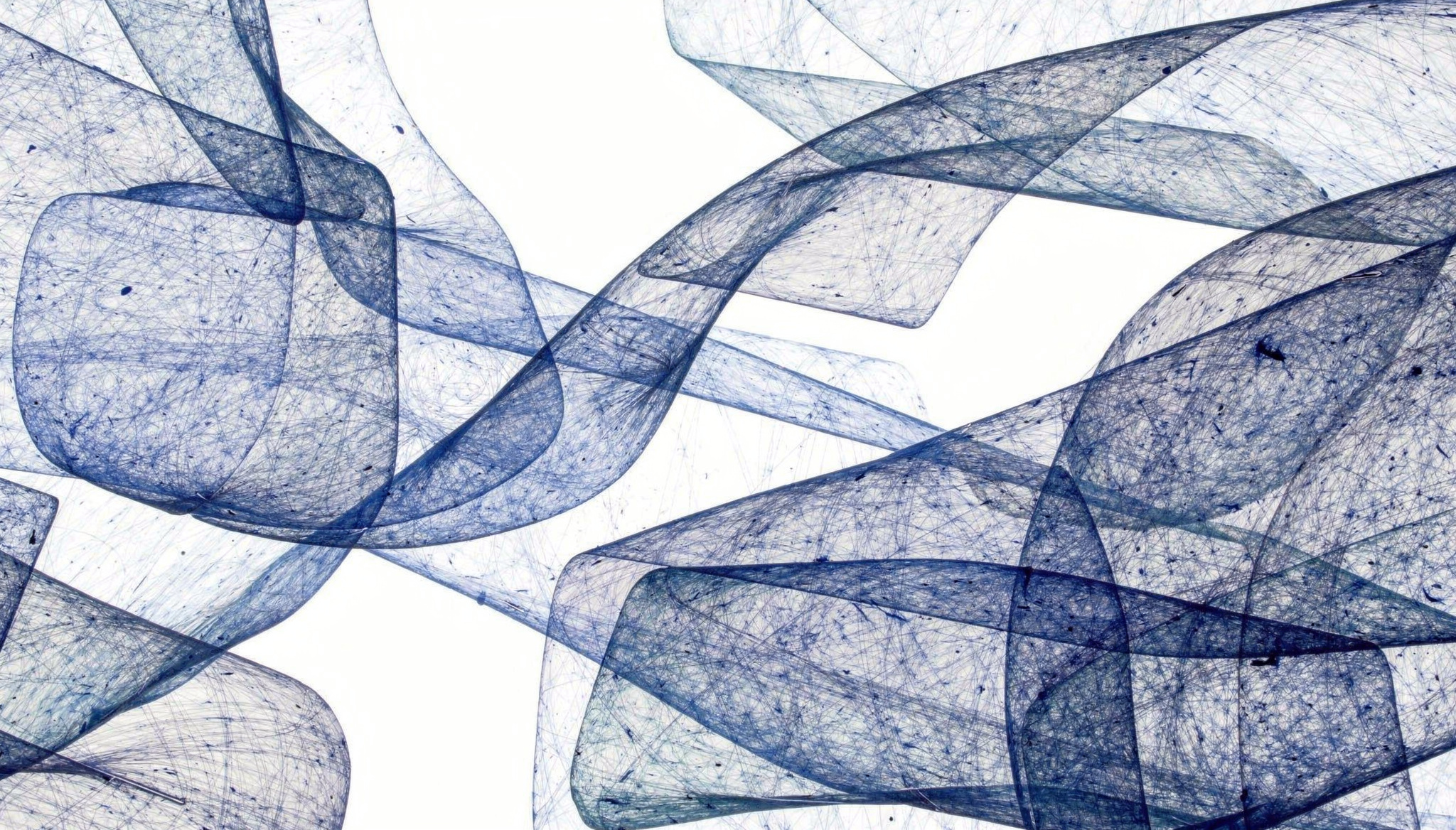 Organic Paper – Abstraktes Wandbild in Blau und Weiß