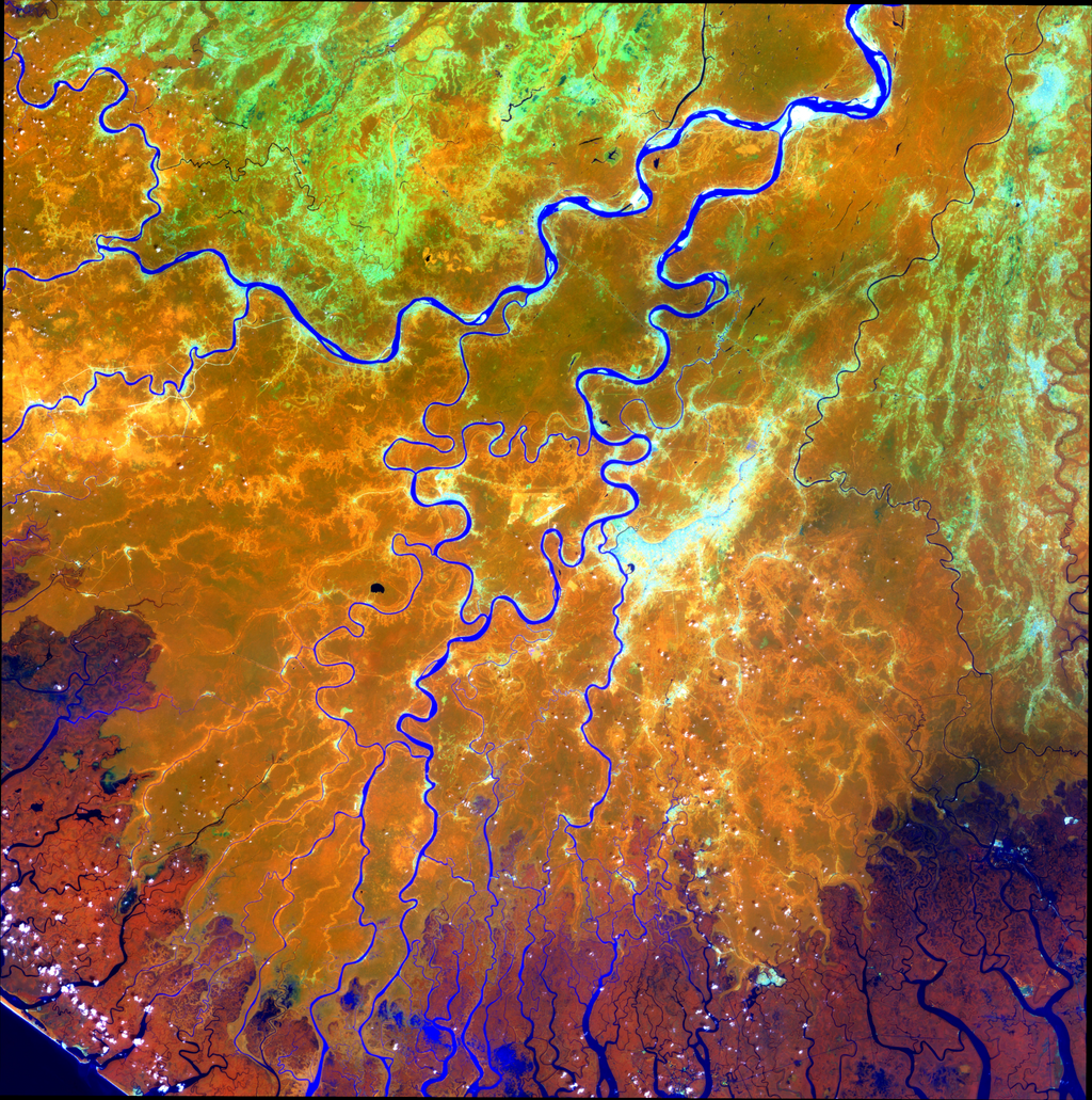 Art from Space - Nigerdelta von oben – Satellitenbild Wandbild