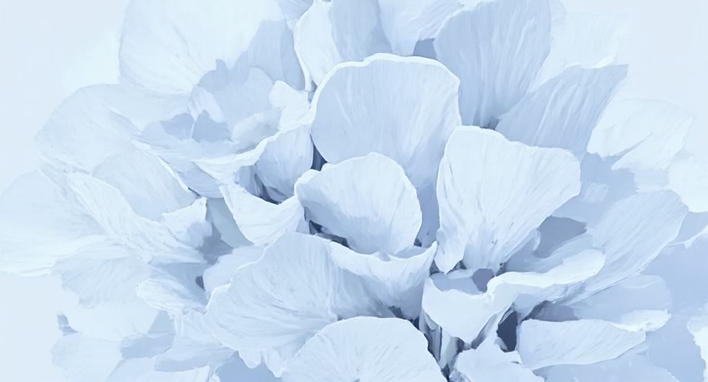 Sanfte Fülle - Wandbild Austernpilz