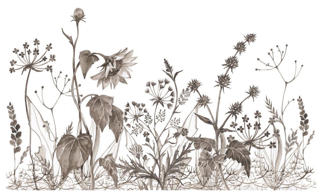 Botanic Bitter - Wandbild Blumen Sepia